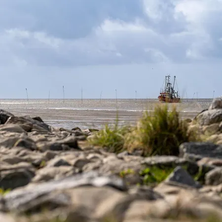 Am Wattenmeer Tegeler Plate 01 *